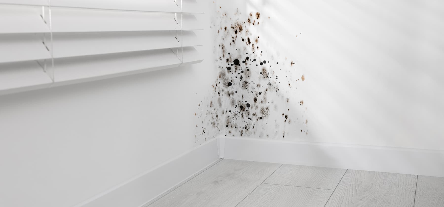 Common Insulation Problems and How Metropolitan Insulation Solves Them