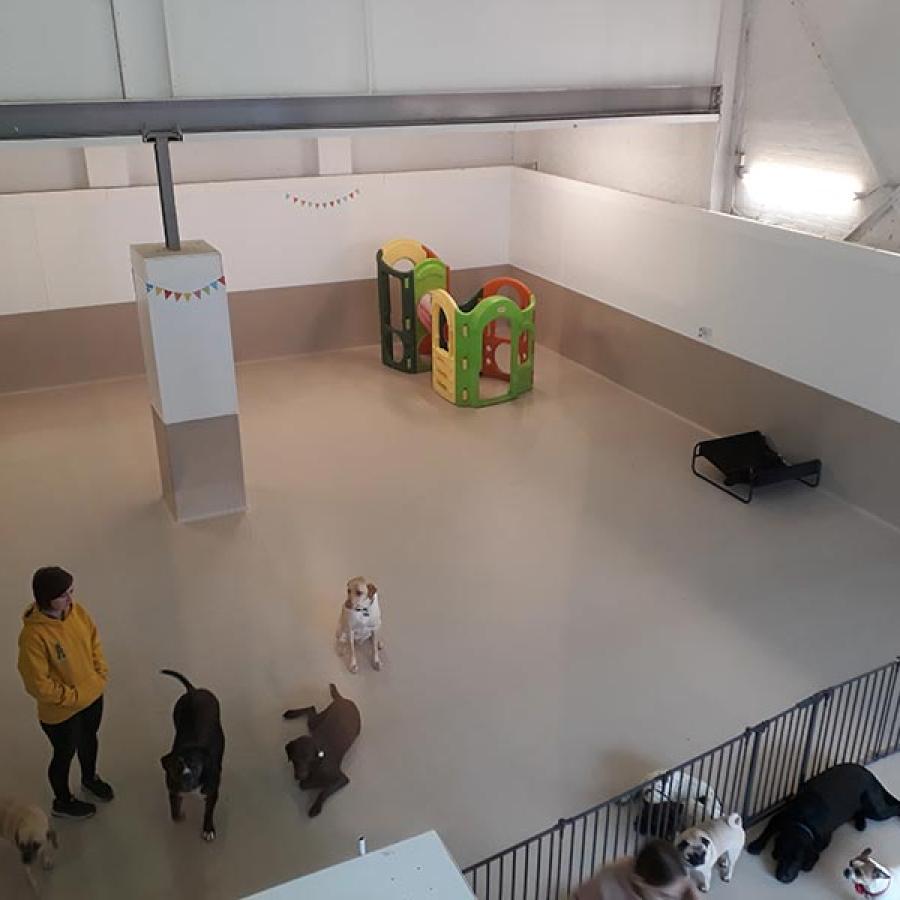 Metropolitan Insulation: Doggy Day Care | Spray Foam